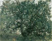 Lovis Corinth Der Eichbaum oil painting reproduction